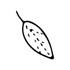 Abstract leaves and flowers doodle set vector illustration