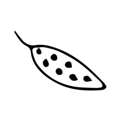 Abstract leaves and flowers doodle set vector illustration