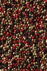 Raw Organic Dry Peppercorns