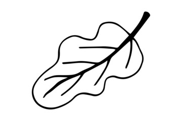 Abstract leaves and flowers doodle set vector illustration