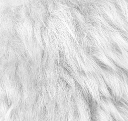 close up wool background