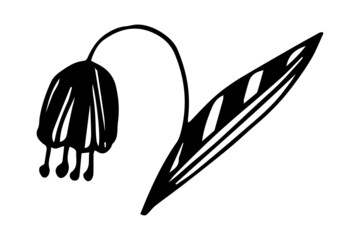 Abstract leaves and flowers doodle set vector illustration