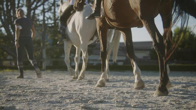 Riding horses at the equestrian center in France countryside.