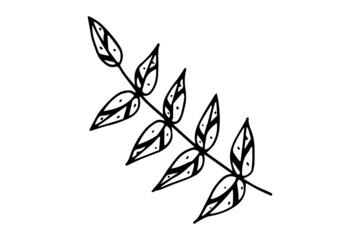 Abstract leaves and flowers doodle set vector illustration