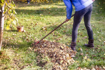 eine frau arbeitet im Garten mit einem Rechen nach dem laubfall