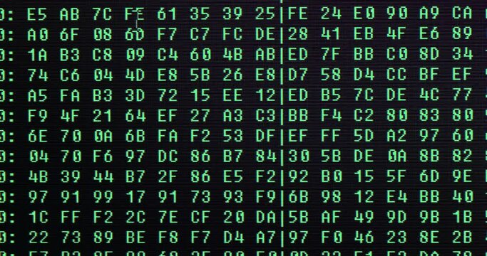 Computer code in hexadecimal on screen