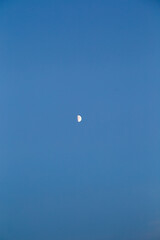 The moon on the background of a clear blue sky, bright light