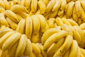 Ripe and delicious Bananas.
