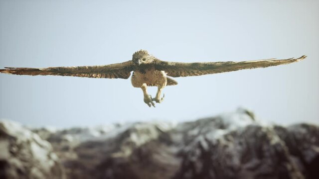 extreme slow motion shot of eagle
