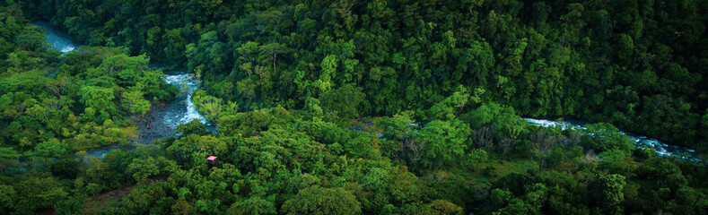 La selva de la reserva de la biosfera de Los Tuxtlas, lleno de biodiversidad, esta área natural protegida se ubica en Veracruz, México. - obrazy, fototapety, plakaty