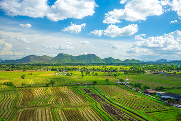 Fototapeta premium Rice Terrace Aerial Shot. Image of beautiful terrace rice field in Chiang Rai Thailand 