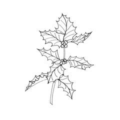 Holly twig hand drawn black and white illustration. Isolated design element.