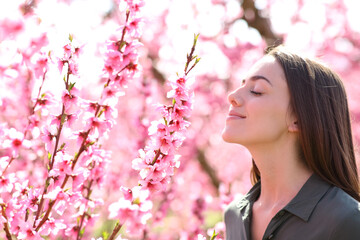 Woman smelling scented flowers in a field - obrazy, fototapety, plakaty