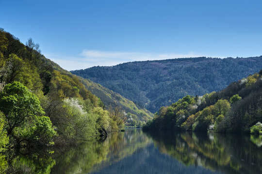 Springtime by the river