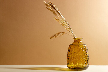 Glass transparent vase with dried flowers on a beige background with a shadow. Abstract still life...