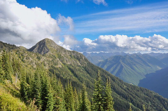 Forest Covered Mountain Landscape, Slocan, West Kootenay, British Columbia, Canada