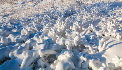 Snow-covered dry grass on the mountainside close-up in winter