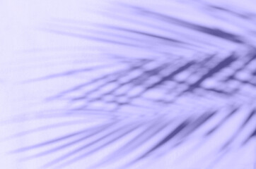 Blurred tropical background in trendy 2022 purple color.