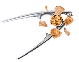 Walnut chopped with nutcracker drops on a white background, cut out. Isolated