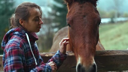 close up tender woman horse owner stroking horse head in green field at wooden fence. girl talks woth horse, strokes and soothes. human and animal friendship