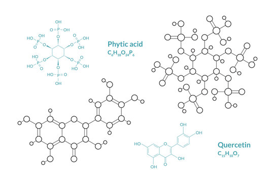 Phytic Acid. Quercetin. The Structural Formula of a Chemical Compound. Line Graphic Representation of the Molecular Structure. C6H18O24P6, C15H10O7. Vector Illustration