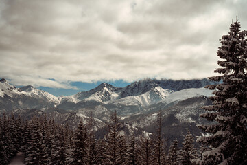 snow covered mountains