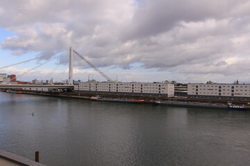 Blick von Ludwigshafen über den Rhein auf das Zentrum der Stadt Mannheim