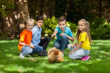 Fototapeta premium Child Having fun Playing with Cute Little Dog in park.Fluffy Smart Puppy, teach and train it Commands. Sunny Summer Day