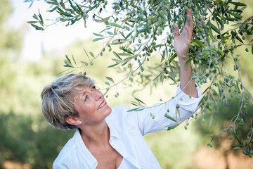 Frau probiert die Oliven an einem Olivenbaum