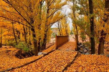 Autumnal trail in the Casas de Don Diego in the Sierra de Baza natural park. - obrazy, fototapety, plakaty