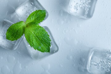 Top view of mint leaves with ice cubes and water drops on pastel background