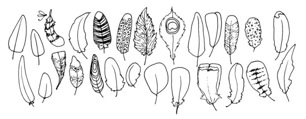 a set of different bird feathers. a drawn collection of bird feathers in sketch style, with different texture of stripes and dots, isolated black outline on white for a design template