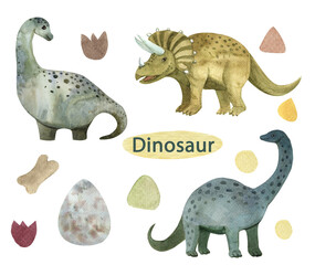 Set of dinosaurs,diplodocus,triceratops,dinosaur egg,footprints and stones,watercolor illustration for children