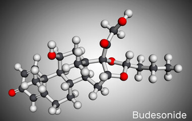 Budesonide,BUD molecule. It is corticosteroid used to treat Crohn's disease, asthma, COPD, hay fever, allergies, ulcerative colitis. Molecular model. 3D rendering