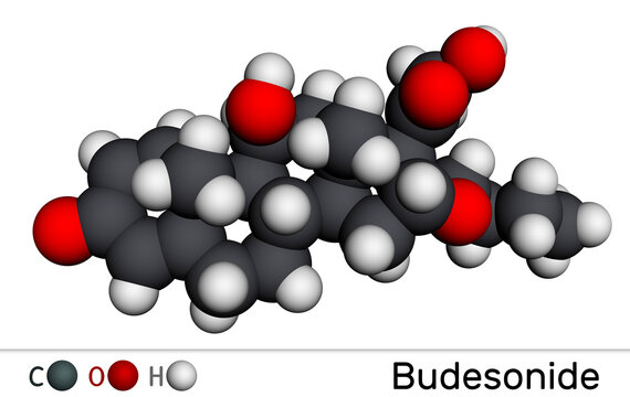 Budesonide,BUD molecule. It is corticosteroid used to treat Crohn's disease, asthma, COPD, hay fever, allergies, ulcerative colitis. Molecular model. 3D rendering