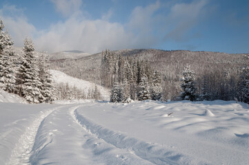 Obraz premium Winter road. Carpathian Mountains. A popular place for hiking and traveling.
