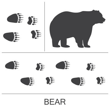 Silhouette of a bear and prints of the hind and fore paws. Vector illustration on a white background.