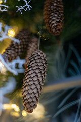 Obraz premium Holiday background of Christmas tree branches, spruce, juniper, fir, larch, pine cones with light. Xmas and New Year theme. Top view, wide composition, seamless pattern