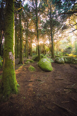 Fototapete bei efototapeten.de bestellen   