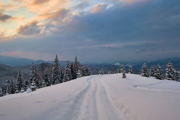 Moody landscape with footpath tracks and bare dark trees covered with fresh fallen snow in winter mountain forest on cold gloomy evening