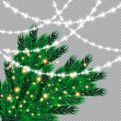 Christmas lights isolated on transparent background. Christmas glowing garlands on a green tree ..