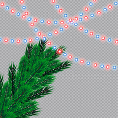 Christmas lights isolated on transparent background. Christmas glowing garlands on a green tree ..