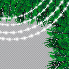 Christmas lights isolated on transparent background. Christmas glowing garlands on a green tree ..