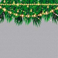 Christmas lights isolated on transparent background. Christmas glowing garlands on a green tree ..