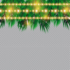 Christmas lights isolated on transparent background. Christmas glowing garlands on a green tree ..