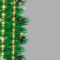 Christmas lights isolated on transparent background. Christmas glowing garlands on a green tree ..