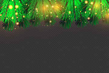 Christmas lights isolated on transparent background. Christmas glowing garlands on a green tree ..