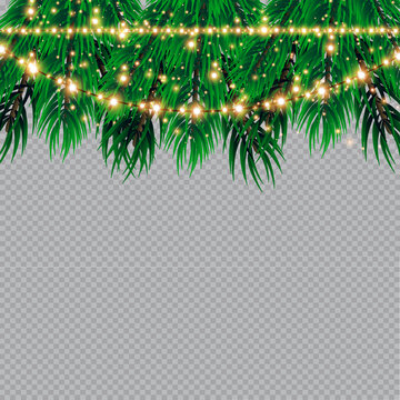Christmas lights isolated on transparent background. Christmas glowing garlands on a green tree ..