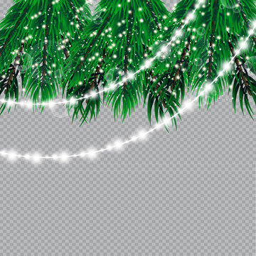 Christmas lights isolated on transparent background. Christmas glowing garlands on a green tree ..