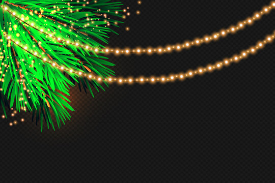 Christmas lights isolated on transparent background. Christmas glowing garlands on a green tree ..